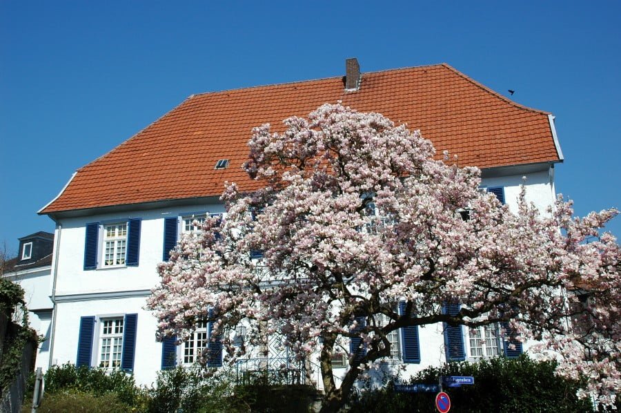 Fr Hling In Soest Stadtfuehrung Soest De